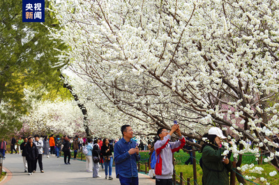 清明假期北京市属公园及中国园林博物馆游客接待量超218万人次，景区管理成效显著