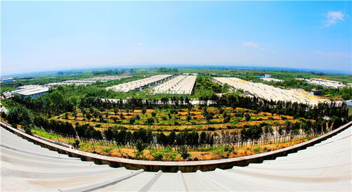 谋定后动谱华章，气势如虹唱大风 论新时代景区管理的智慧与气魄