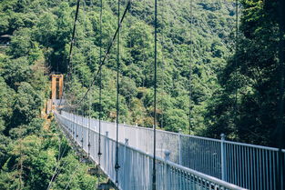 安徽惊险刺激景区全攻略 5D玻璃桥、高空滑索，挑战你的勇气极限！