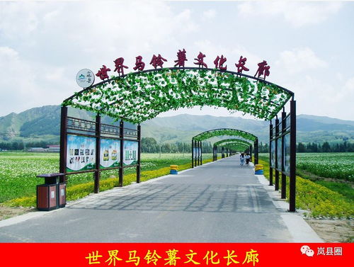 探索土豆花海与饮马池景区的独特魅力与游览管理